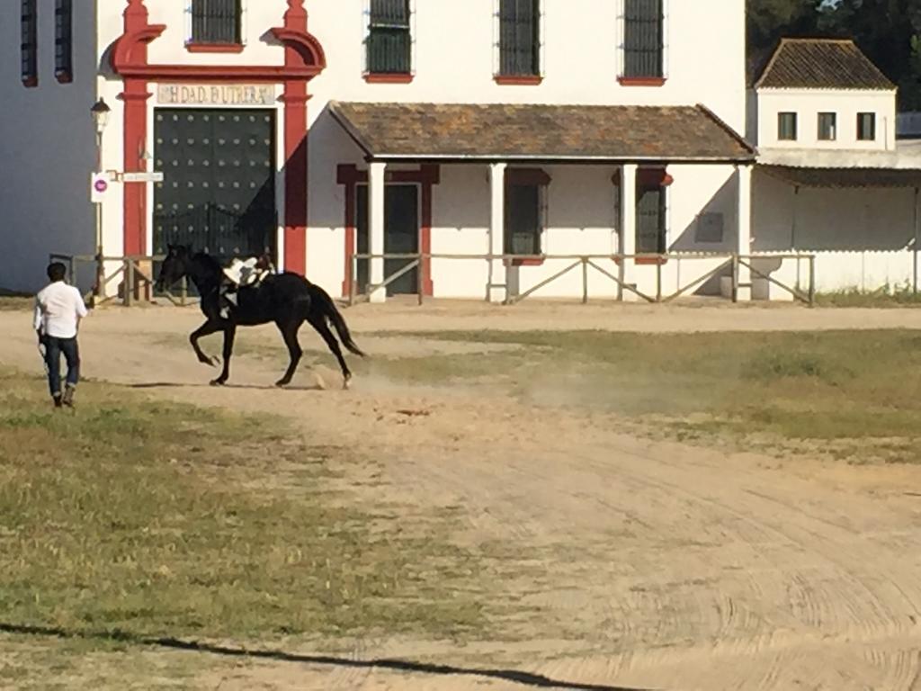 El Rocio Azul Alojamiento Rural Eksteriør billede